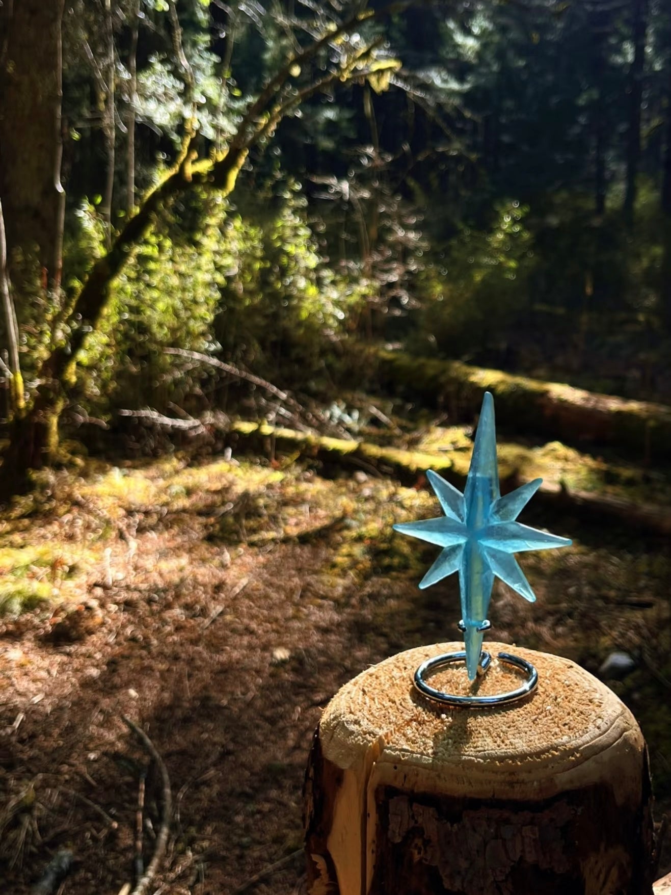 【LAB SUPERNOVA】ベツレヘムの星 手作り石鹸