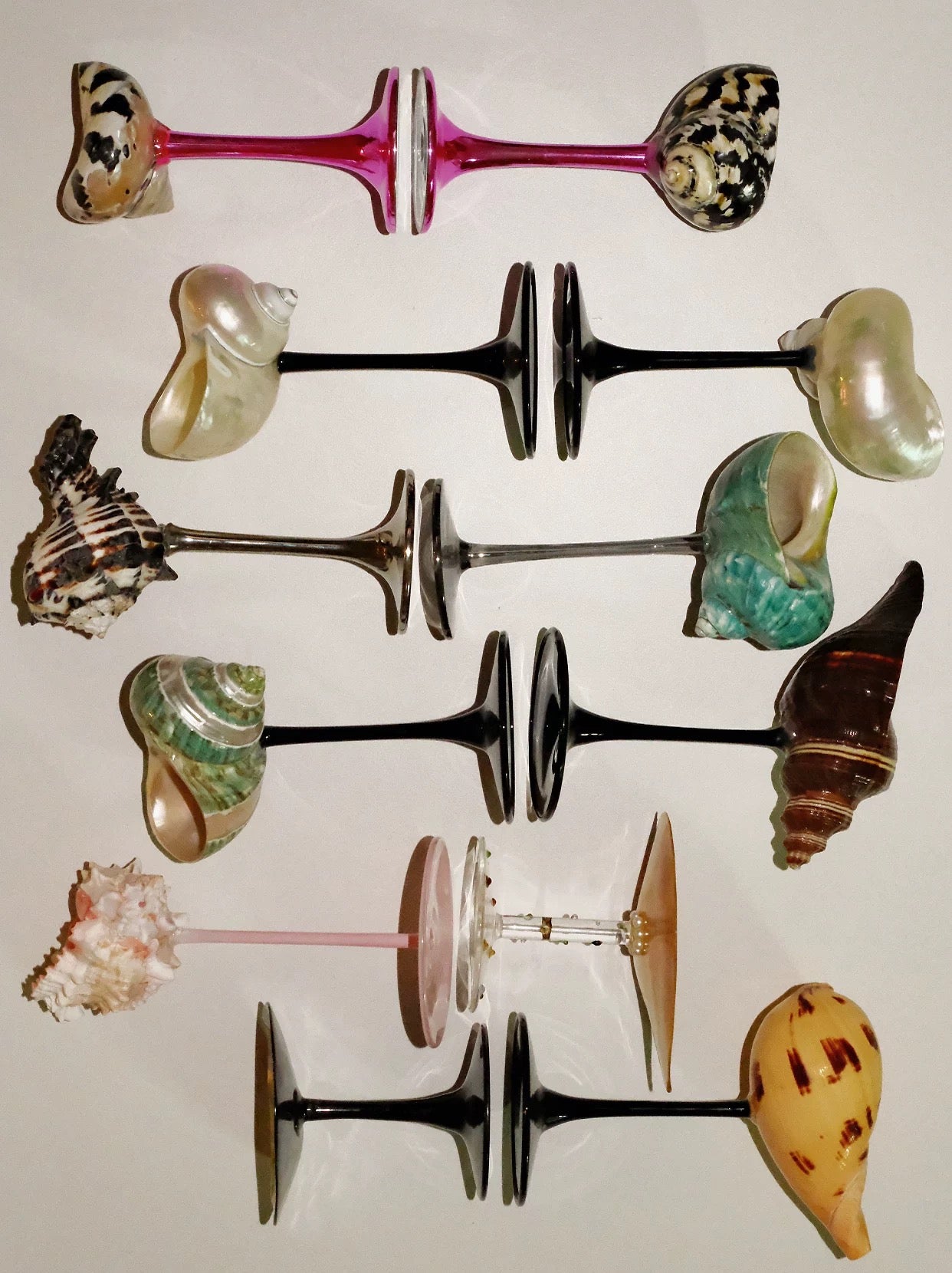 【IN Chaos】天然ホラガイ＆貝殻グラス