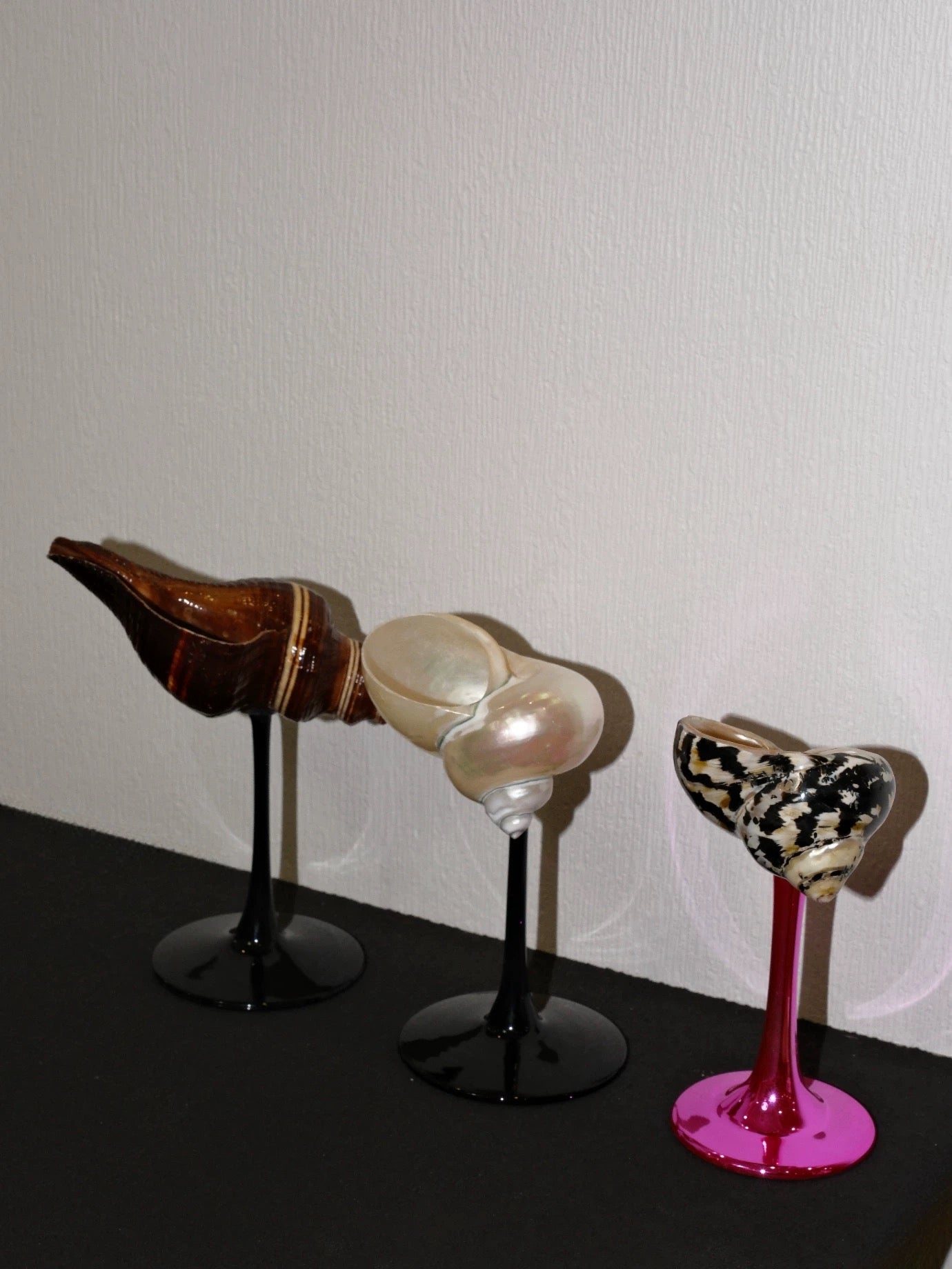 【IN Chaos】天然ホラガイ＆貝殻グラス