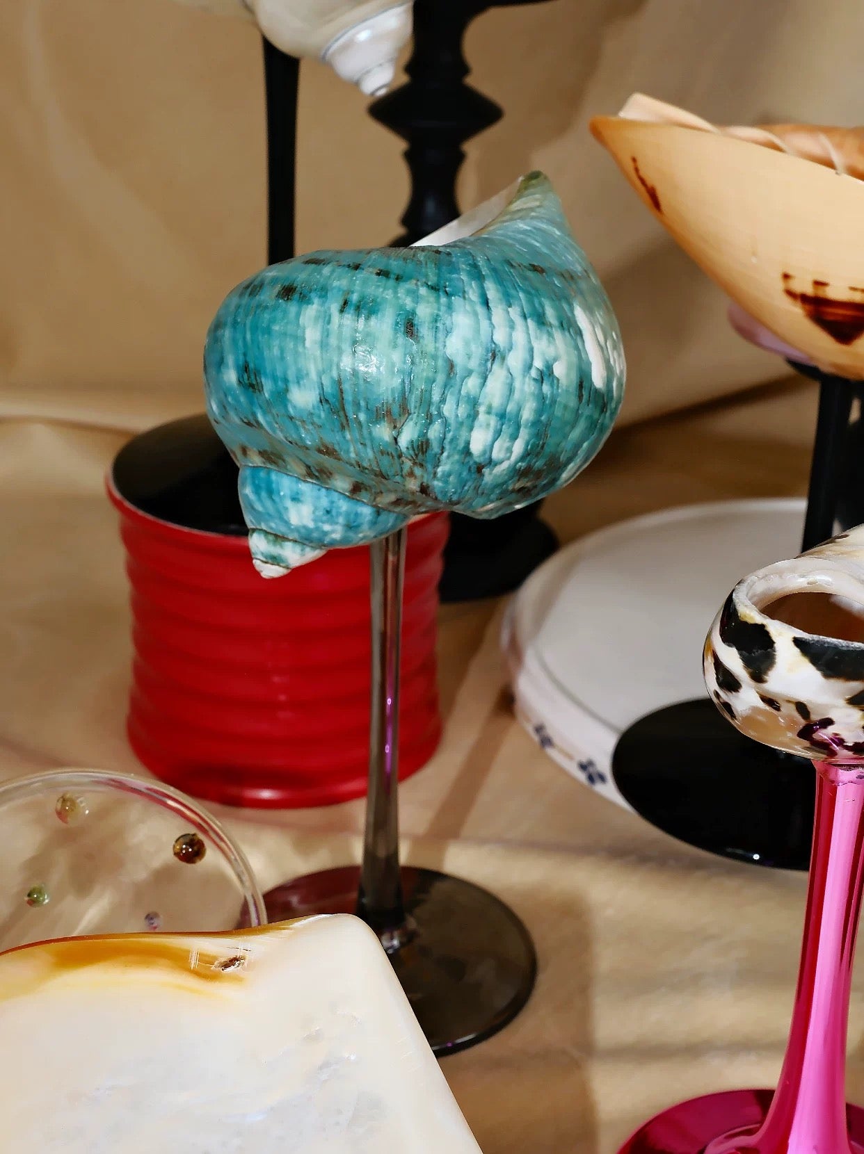 【IN Chaos】天然ホラガイ＆貝殻グラス