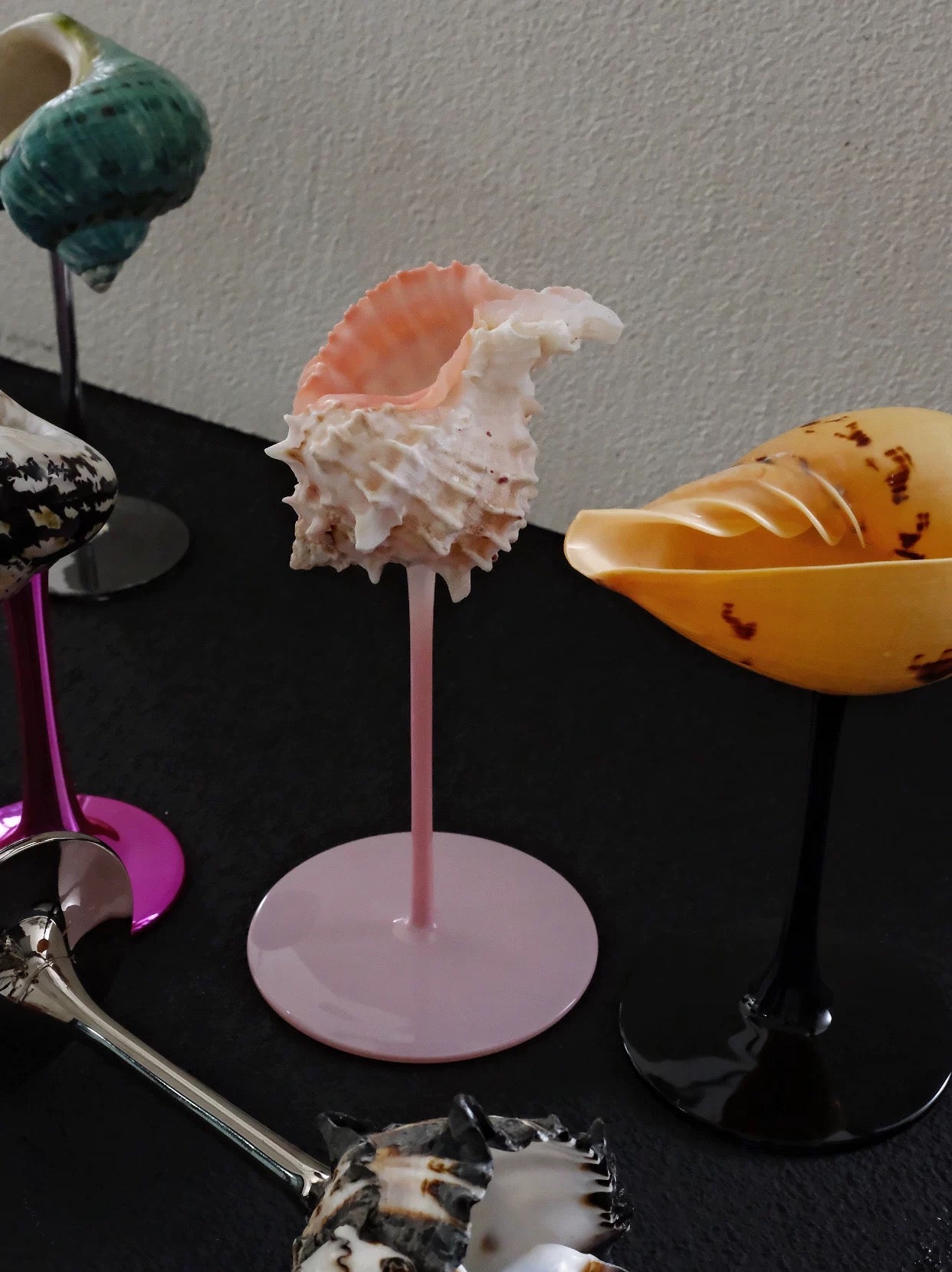 【IN Chaos】天然ホラガイ＆貝殻グラス