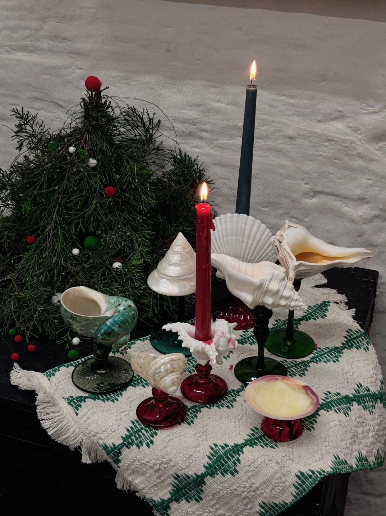 【IN Chaos】天然ホラガイ＆貝殻グラス