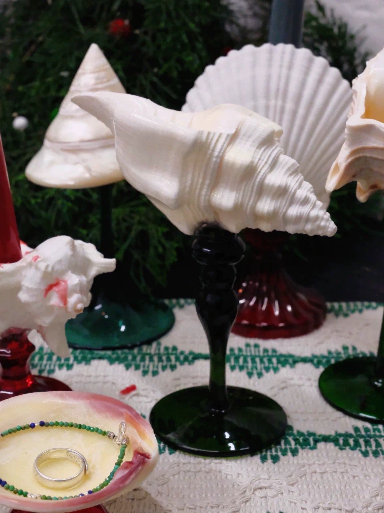 【IN Chaos】天然ホラガイ＆貝殻グラス