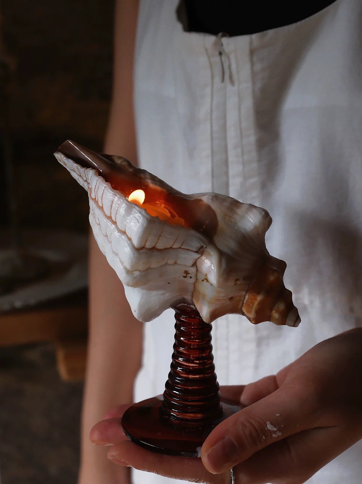 【IN Chaos】天然ホラガイ＆貝殻グラス