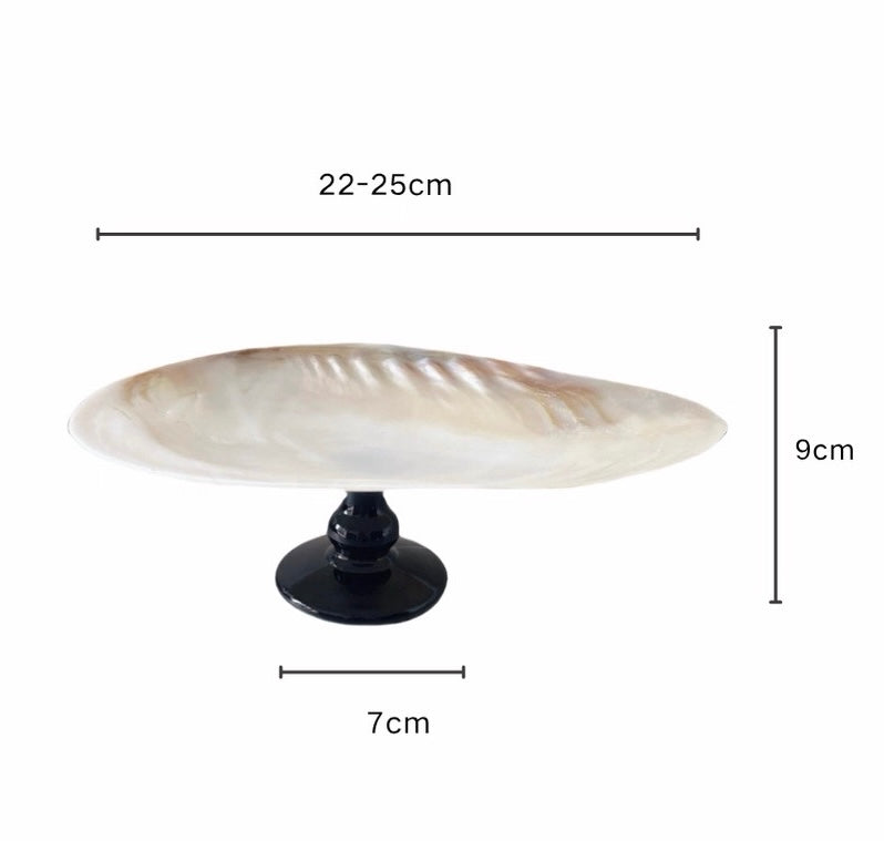 【IN Chaos】天然ホラガイ＆貝殻グラス