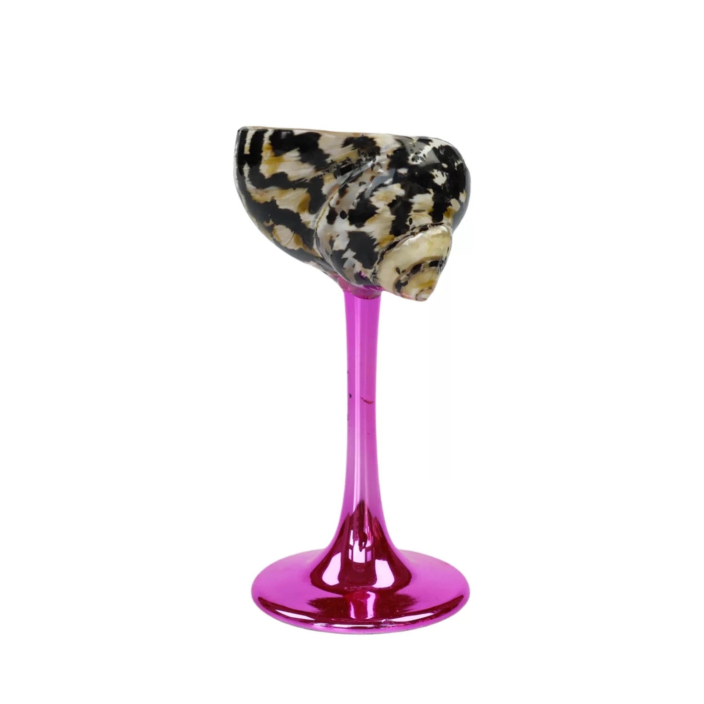 【IN Chaos】天然ホラガイ＆貝殻グラス