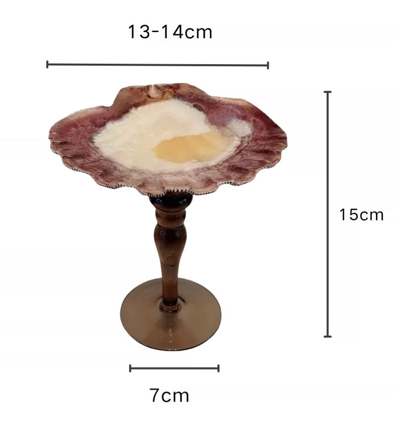 【IN Chaos】天然ホラガイ＆貝殻グラス
