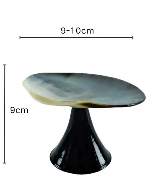 【IN Chaos】天然ホラガイ＆貝殻グラス