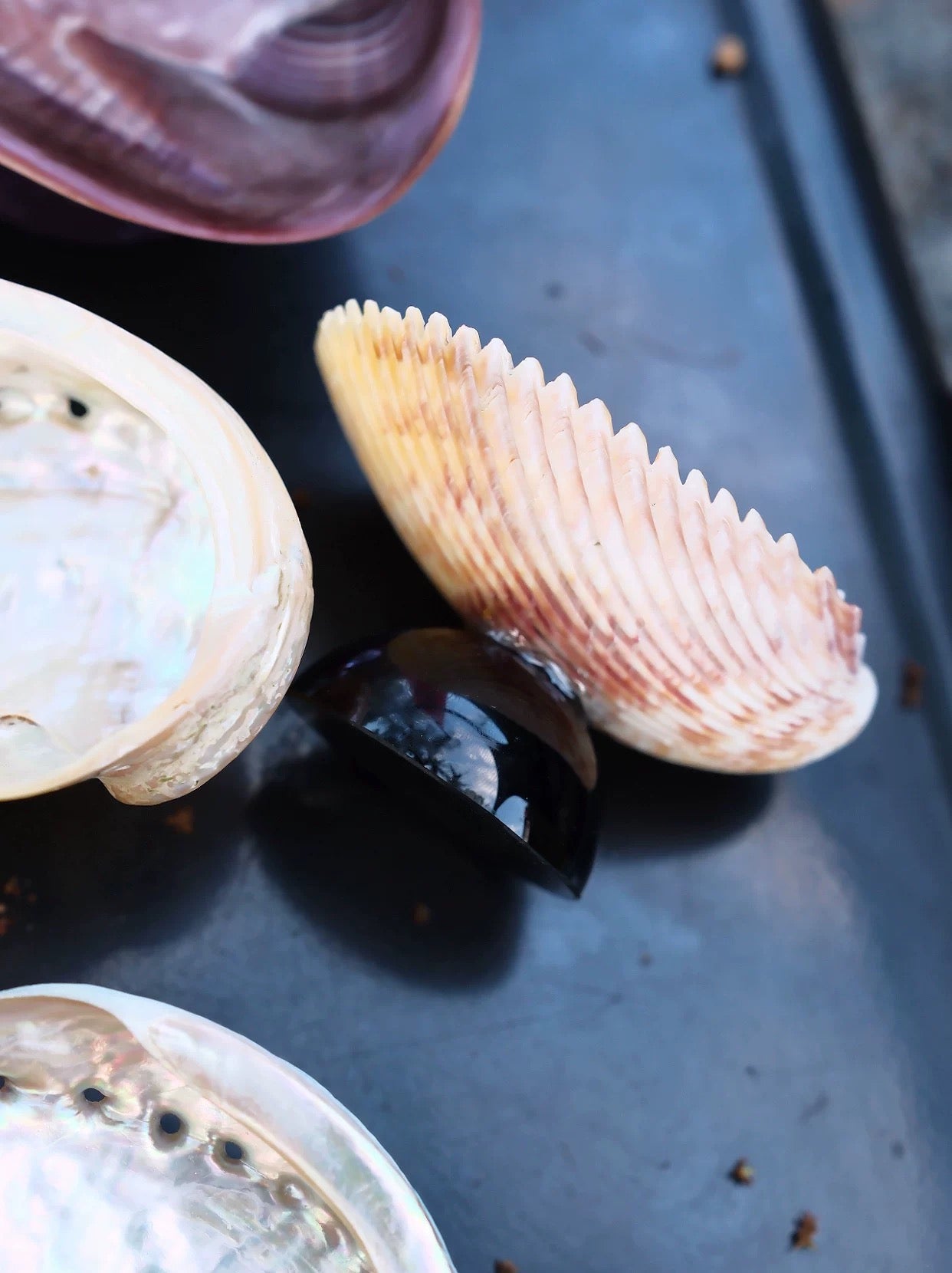 【IN Chaos】天然貝殻カラードガラストレー