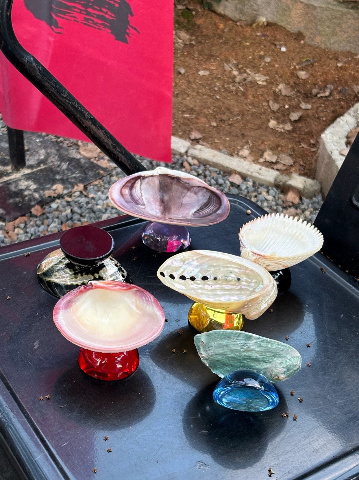 【IN Chaos】天然貝殻カラードガラストレー