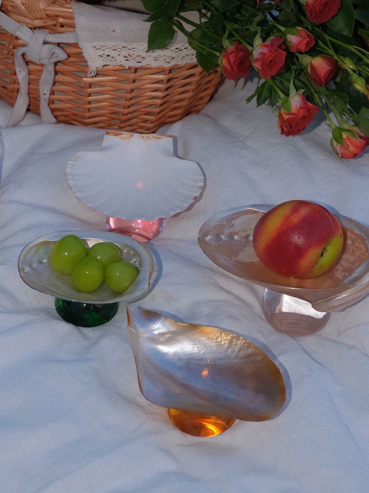 【IN Chaos】天然貝殻カラードガラストレー