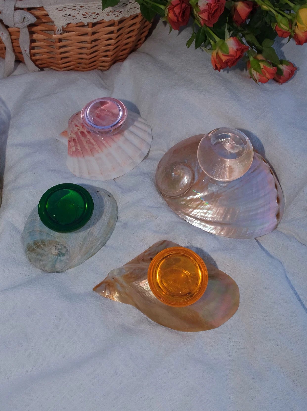 【IN Chaos】天然貝殻カラードガラストレー