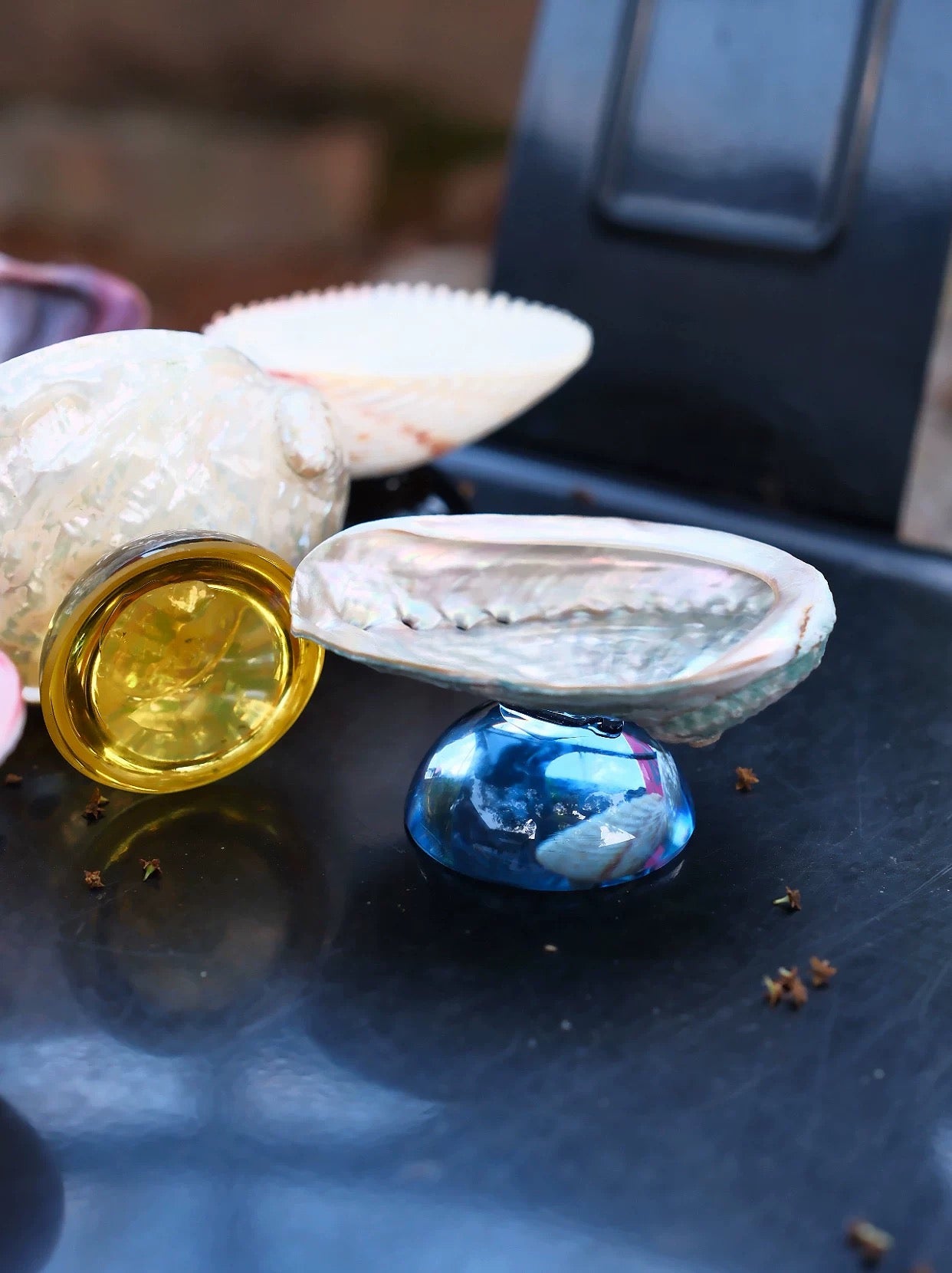 【IN Chaos】天然貝殻カラードガラストレー