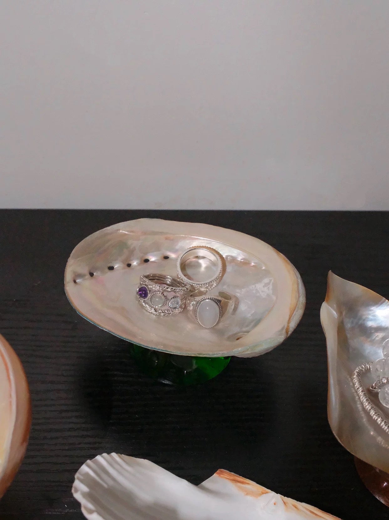 【IN Chaos】天然貝殻カラードガラストレー