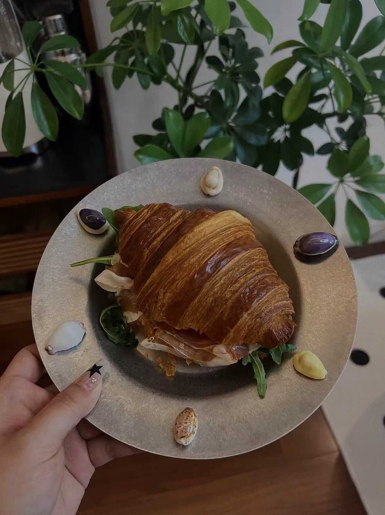 【IN Chaos】天然ホラガイ貼り付けプレート