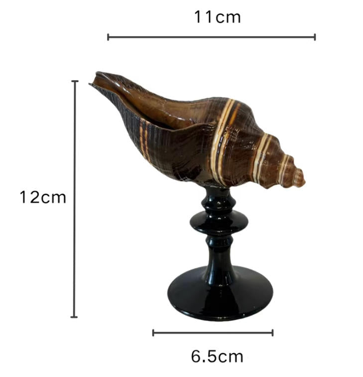 【IN Chaos】天然ホラガイ＆貝殻グラス