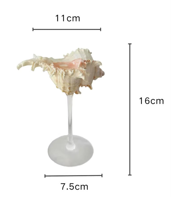 【IN Chaos】天然ホラガイ＆貝殻グラス