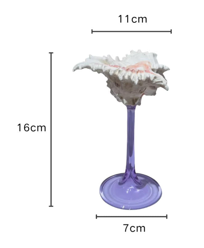 【IN Chaos】天然ホラガイ＆貝殻グラス