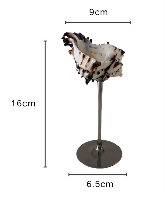 【IN Chaos】天然ホラガイ＆貝殻グラス