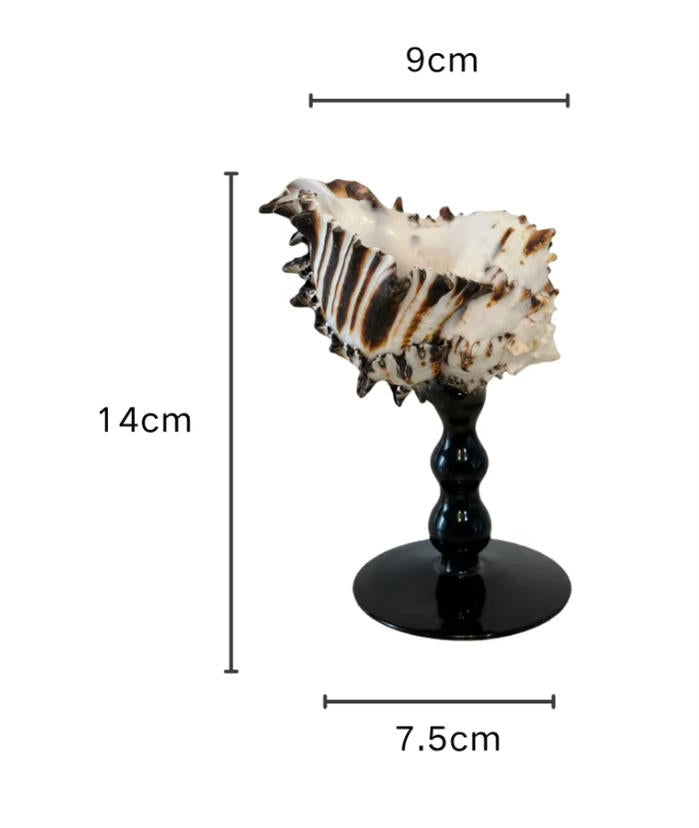 【IN Chaos】天然ホラガイ＆貝殻グラス