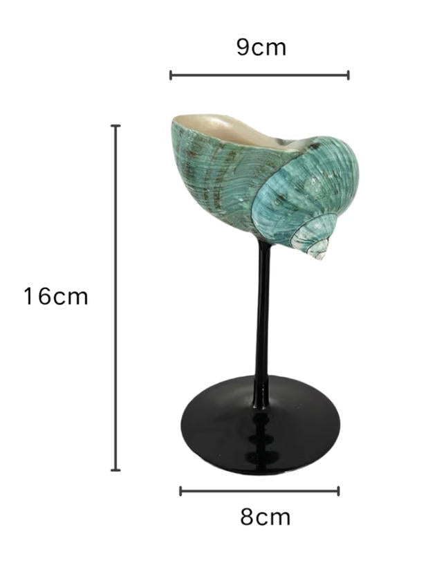 【IN Chaos】天然ホラガイ＆貝殻グラス