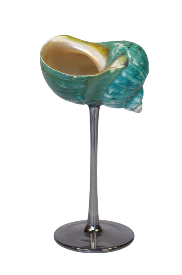 【IN Chaos】天然ホラガイ＆貝殻グラス