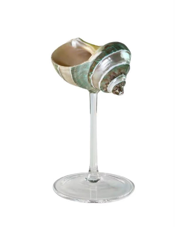 【IN Chaos】天然ホラガイ＆貝殻グラス