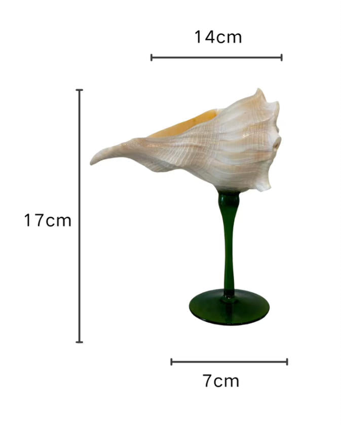 【IN Chaos】天然ホラガイ＆貝殻グラス