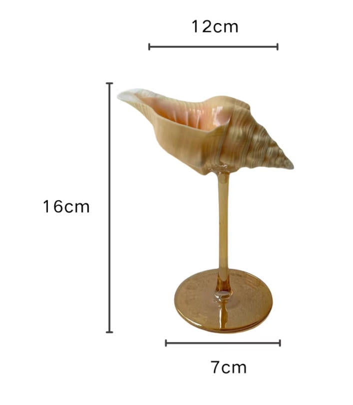 【IN Chaos】天然ホラガイ＆貝殻グラス