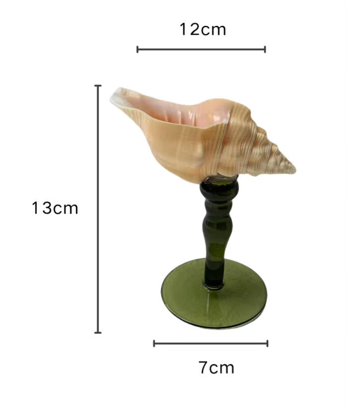 【IN Chaos】天然ホラガイ＆貝殻グラス
