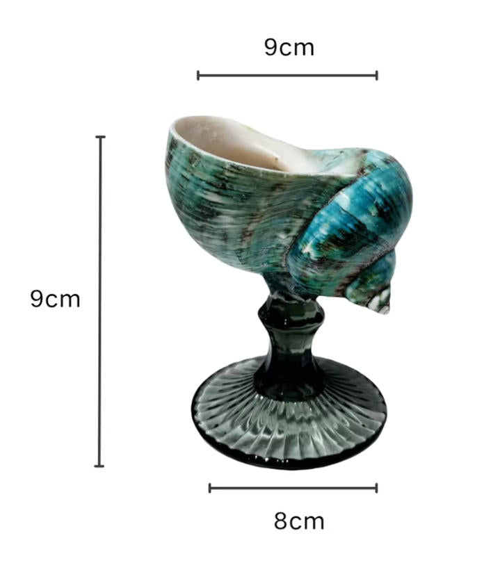 【IN Chaos】天然ホラガイ＆貝殻グラス