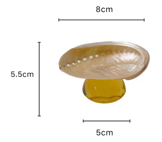 【IN Chaos】天然貝殻カラードガラストレー