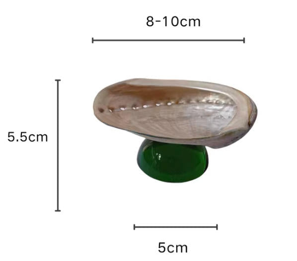【IN Chaos】天然貝殻カラードガラストレー