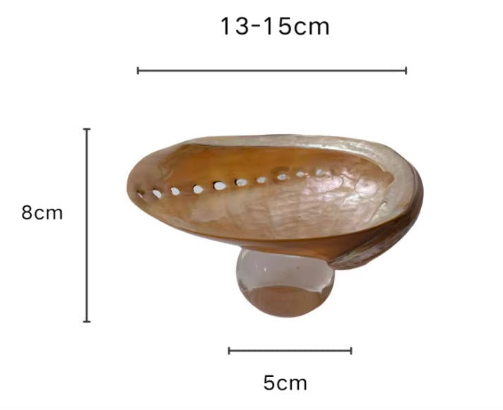 【IN Chaos】天然貝殻カラードガラストレー